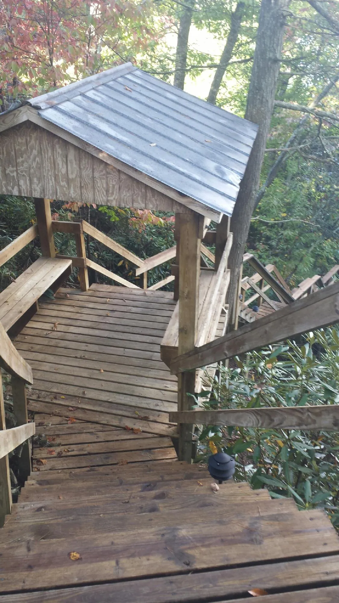 Metal roofed shelter over wooden steps on a wooded walkway — Skylight Repair & Installation work by our crew in Lilburn